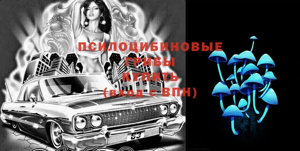 молекула духа Вязники