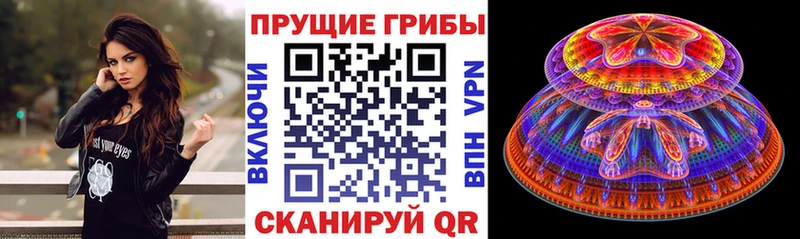Псилоцибиновые грибы Psilocybe  Котельники 